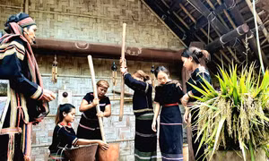 Hoạt động tháng 6 với chủ đề “Ngày hội gia đình” tại Làng Văn hóa - Du lịch các dân tộc Việt Nam