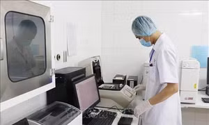 Việt Nam phát chủng virus biến thể mới SARS-CoV-2 của Nam Phi có khả năng lây lan nhanh