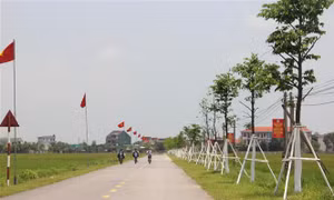 Diện mạo nông thôn mới trên quê hương Tổng Bí thư Hà Huy Tập