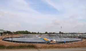 Trà Vinh phát triển nghề nuôi tôm nước lợ thành ngành sản xuất hàng hóa
