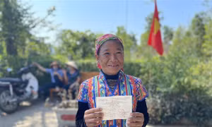 Hoàn thành việc bỏ phiếu, cử tri Hà Tĩnh yên tâm ra đồng thu hoạch lúa