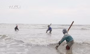 Người dân “miền chân sóng” hào hứng đi cào dắt mùa biển động