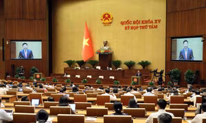 Thông cáo báo chí số 23 Kỳ họp thứ 8, Quốc hội khóa XV