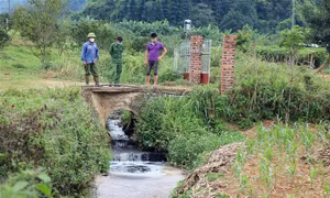 Cần tăng cường quản lý các cơ sở sơ chế cà phê ở Mai Sơn