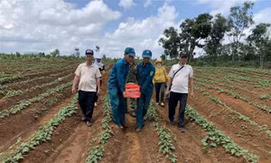 Lực lượng vũ trang và đồng đội đưa hài cốt liệt sỹ về nơi an nghỉ. Ảnh: TTXVN phát