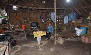 Đắk Lắk đề xuất bổ sung 41 hộ nghèo, hộ cận nghèo nhận tiền hỗ trợ theo Nghị quyết 42 do bị "bỏ sót"