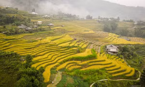 Khai mạc Chương trình du lịch “Qua những miền di sản ruộng bậc thang” Hoàng Su Phì