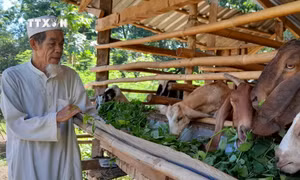 Phát triển bền vững kinh tế - xã hội vùng đồng bào dân tộc thiểu số và miền núi Bình Phước
