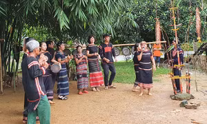 Các hoạt động tháng 10 với chủ đề “Giai điệu núi rừng” tại Làng Văn hóa - Du lịch các dân tộc Việt Nam