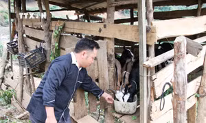 Bí thư Chi bộ người Mông học và làm theo lời Bác