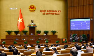 Thông cáo báo chí số 20, Kỳ họp thứ 8, Quốc hội khóa XV