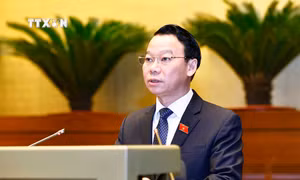 Kỳ họp thứ 8, Quốc hội khóa XV: Thí điểm mở rộng đất cho nhà ở thương mại - cân nhắc đối với đất chuyên trồng lúa và đất rừng