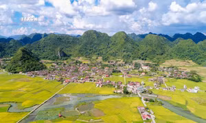 Độc đáo Lễ hội mùa vàng Bắc Sơn