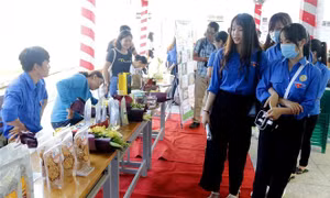 An Giang hỗ trợ thanh niên nông thôn khởi nghiệp và tìm kiếm việc làm