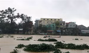 Thừa Thiên - Huế điều tiết hồ thủy điện Bình Điền và hồ Tả Trạch để ứng phó với mưa lũ kéo dài