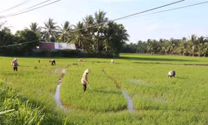 Trà Vinh quan tâm hỗ trợ người dân thoát nghèo bền vững
