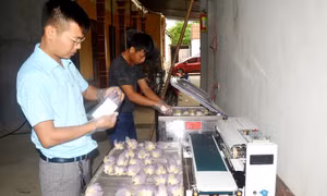 Để sản phẩm OCOP rộng đường vào siêu thị ở Nghệ An 