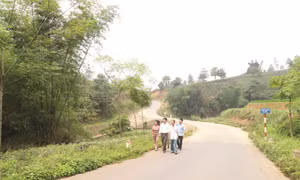 Giảm nghèo bền vững vùng đồng bào dân tộc thiểu số ở Phú Thọ