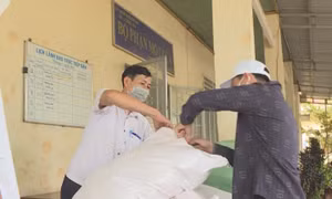 Hỗ trợ người dân tỉnh Bình Phước gần 433 tấn gạo do mất mùa