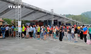 Gần 6.000 vận động viên tham gia Giải Marathon Đền Hùng Spirituality “Về nguồn” năm 2024
