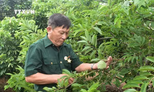 Người thương binh gần 80 tuổi vẫn không ngừng học