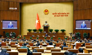 Thông cáo báo chí số 27, Kỳ họp thứ 8, Quốc hội khóa XV