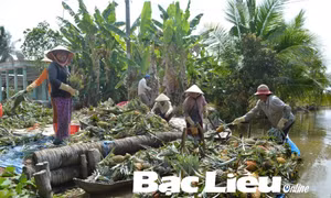 Bạc Liêu thực hiện tốt an sinh xã hội, tạo nền tảng bền vững phát triển kinh tế