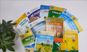 Nghệ An hướng dẫn chọn sách giáo khoa lớp 2 và lớp 6 phù hợp với thực tiễn vùng miền