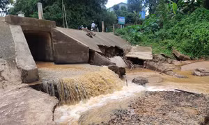 Kon Tum khẩn trương thực hiện phương án khắc phục sạt lở trên sông, suối