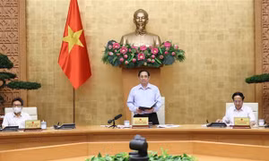 Thủ tướng Chính phủ chỉ thị phát động thi đua thực hiện thắng lợi nhiệm vụ phát triển kinh tế - xã hội