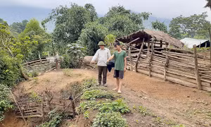 Điện Biên khẩn trương di dời các hộ dân bản Mường Tỉnh A ra khỏi vùng nguy cơ sạt lở