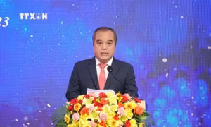 Quảng Ngãi phân công Phó Chủ tịch Thường trực UBND tỉnh Trần Hoàng Tuấn điều hành UBND tỉnh