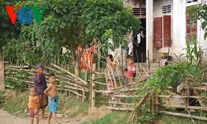 Người Đan Lai ấm no nơi bản mới