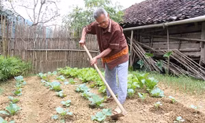 Già làng uy tín ở Triệu Ẩu