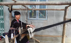 Dân tộc Lự