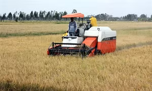 Phê duyệt danh mục Dự án chuyển đổi nông nghiệp bền vững
