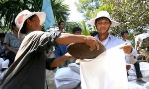 Chính phủ hỗ trợ Đắk Lắk gần 500 tấn gạo