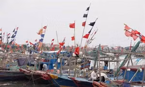 Khẩn trương kêu gọi tàu, thuyền vào nơi trú, tránh bão