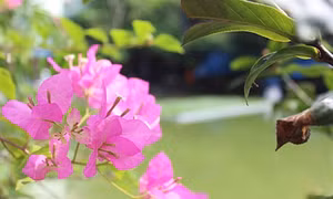 Nắng nóng ở Bắc Bộ và Trung Bộ dịu bớt