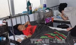 Dừng hoạt động cơ sở bánh mì gây ngộ độc ở Đà Lạt