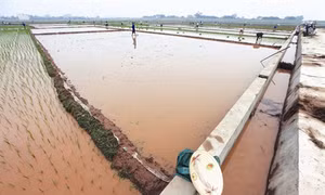 Đổi thay ở ba xã vùng cao của Hà Nội