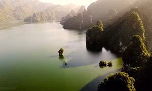 Phê duyệt Nhiệm vụ lập Quy hoạch tu bổ, phục hồi Khu bảo tồn thiên nhiên Na Hang - Lâm Bình