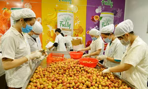 Bắc Giang đầu tư công nghệ bảo quản, chế biến các sản phẩm nông nghiệp chủ lực