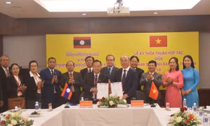 Thúc đẩy kết nối, nâng tầm giá trị cà phê Việt Nam