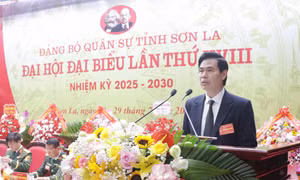 Xây dựng các tiềm lực, thế trận trong khu vực phòng thủ vững chắc