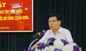 Thứ trưởng, Phó Chủ nhiệm Ủy ban Dân tộc Lê Sơn Hải phát biểu tại buổi tiếp.