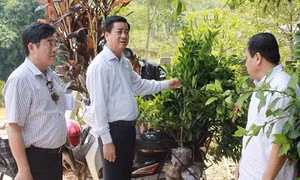 Đồng chí Hoàng Xuân Lương cùng Đoàn công tác kiểm tra tình hình phát triển kinh tế của người Cờ Lao tại thôn Khuổi Phạt, xã Vĩnh Hảo, huyện Bắc Quang (Hà Giang).