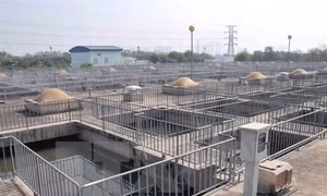 Hà Nội sẽ xây nhà máy khai thác nước sông Hồng