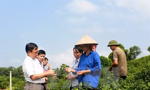 May “áo giáp” cho nông dân trước “cơn bão” thị trường
