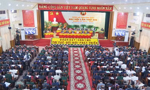 Đại hội đại biểu Đảng bộ các tỉnh Điện Biên, Lai Châu, Hậu Giang, Cao Bằng, Vinh phúc , Bình Định